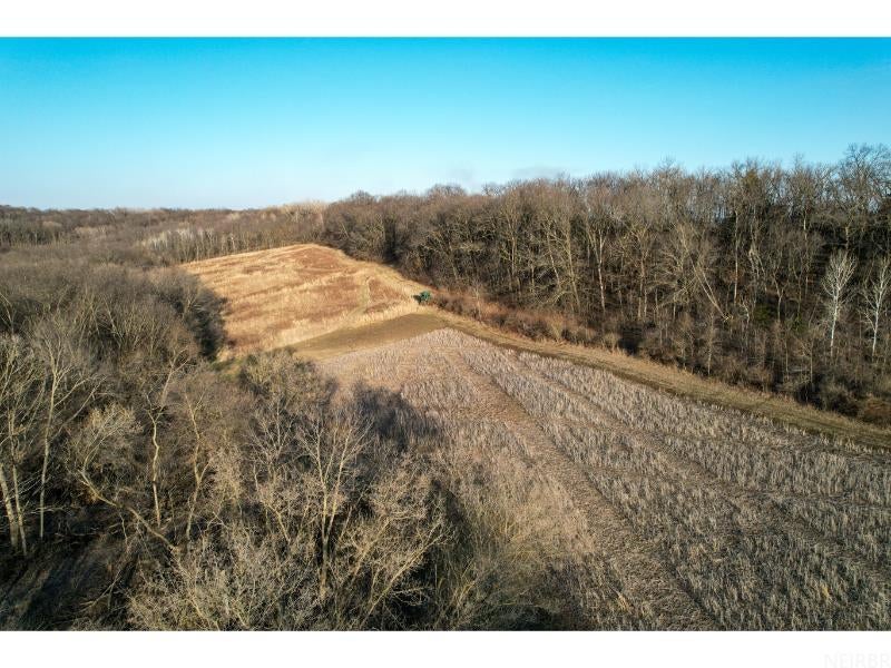 0 Domino Road Volga, IA 52077 - Photo 11 of 30 Gallery Image 11