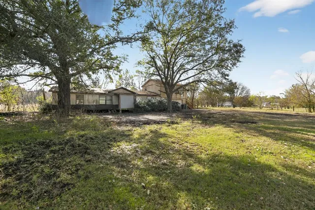 a view of a yard with plants and trees