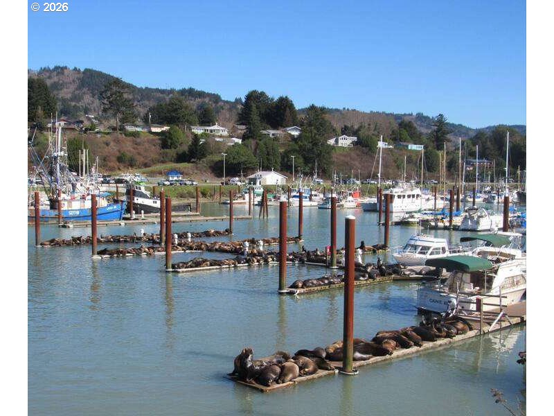 16319 Lower Harbor Road Brookings, OR 97415 - Photo 11 of 23