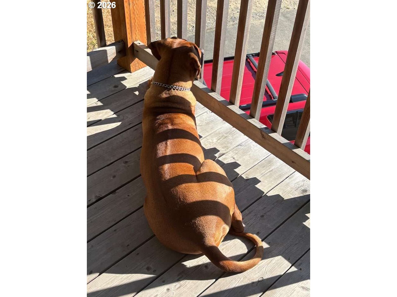 16319 Lower Harbor Road Brookings, OR 97415 - Photo 22 of 23