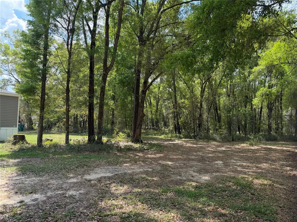 4181 East Carl Ramm Lane Inverness, FL 34452 - Photo 19 of 20