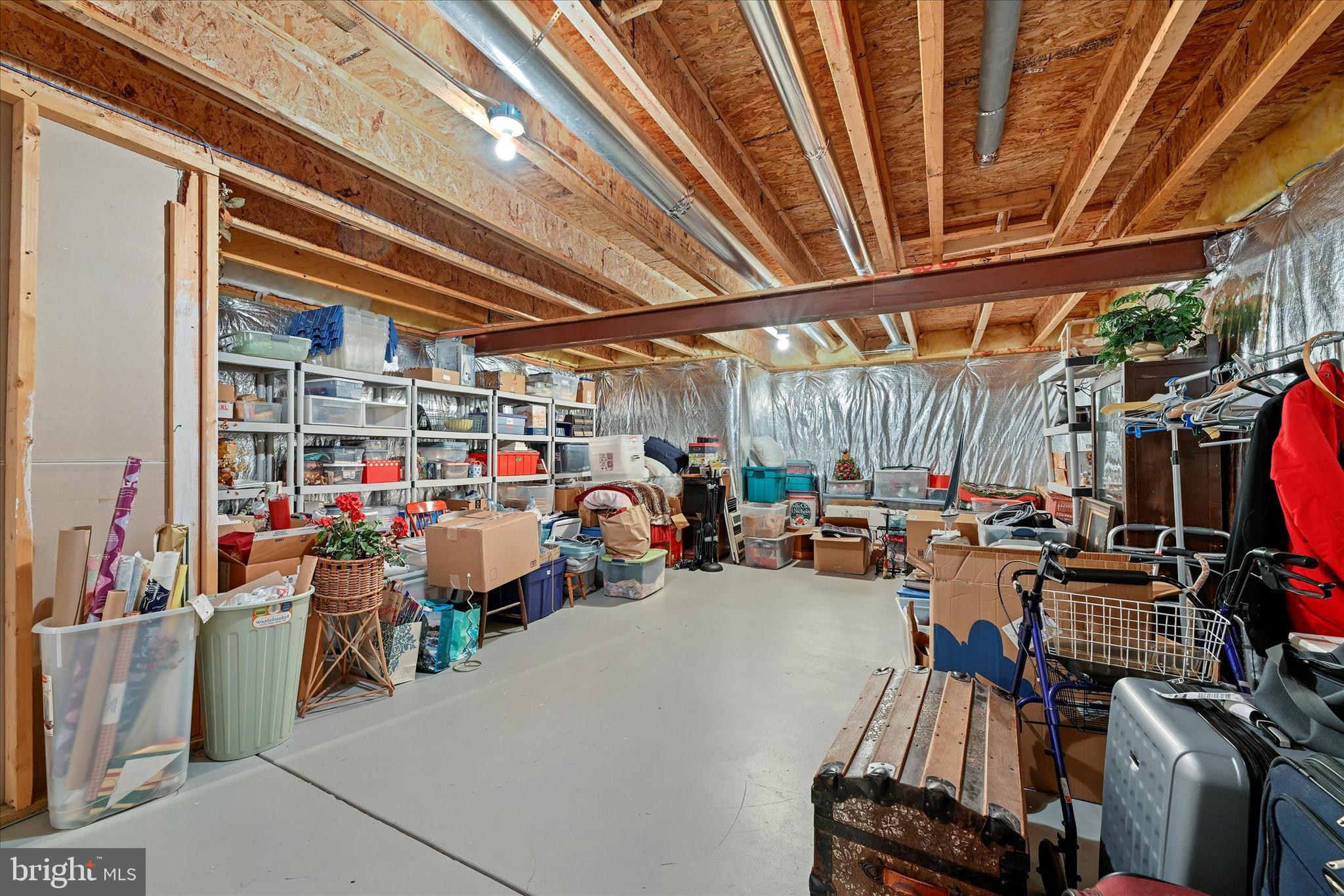 1224 Whetstone Drive Arnold, MD 21012 - Photo 36 of 42 Lower Level Storage area