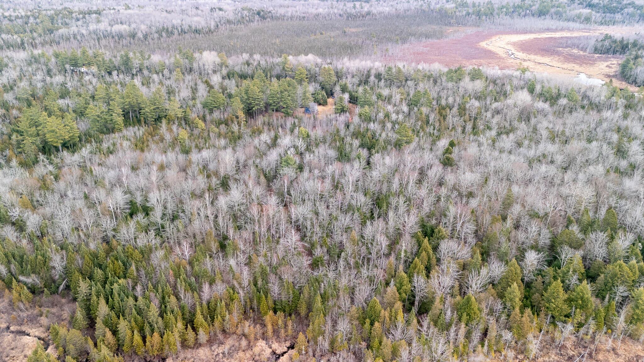 1735 Bangor Road Dover-Foxcroft, ME 04426 - Photo 54 of 69 DJI_20241126100057_0584_D