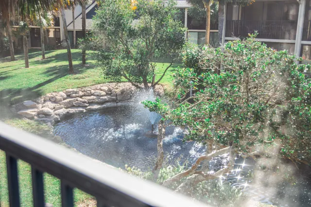 a view of a yard with a tree
