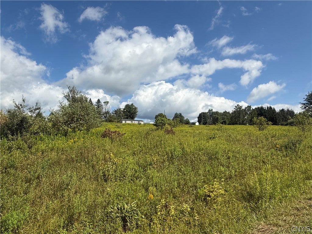 2755 Center Road McGraw, NY 13101 - Photo 40 of 47 Gallery Image 40