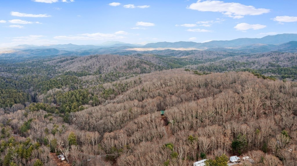 820 Chestnut Mountain Road Reliance, TN 37369 - Photo 2 of 44 Gallery Image 2