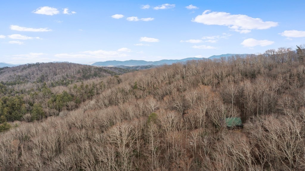 820 Chestnut Mountain Road Reliance, TN 37369 - Photo 38 of 44 Gallery Image 38