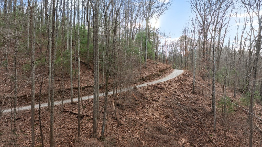820 Chestnut Mountain Road Reliance, TN 37369 - Photo 39 of 44 Gallery Image 39