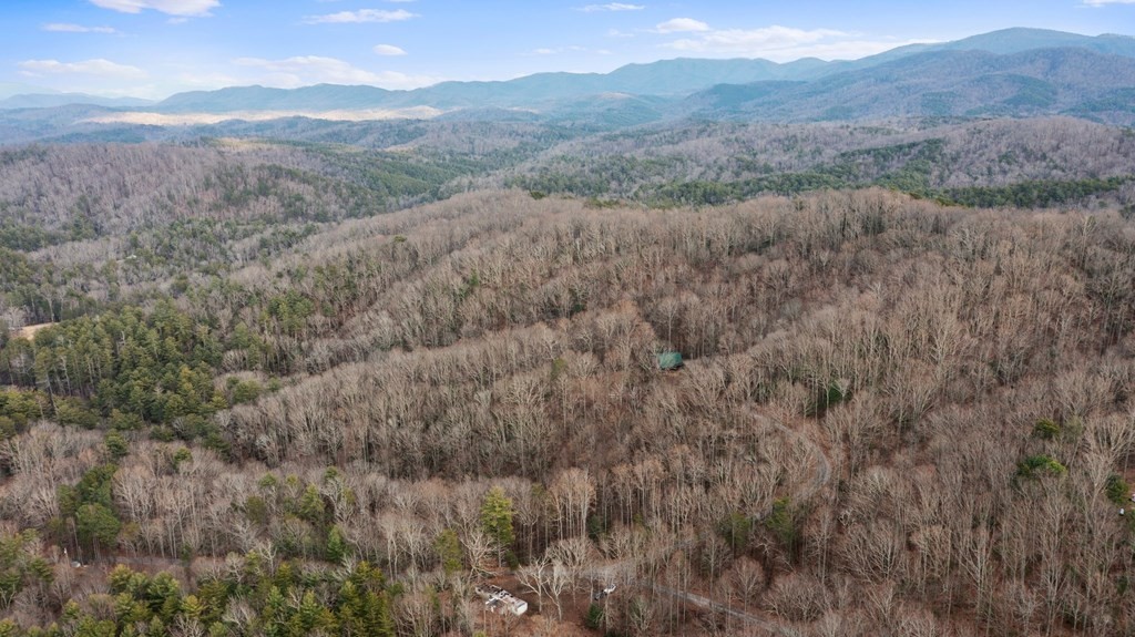 820 Chestnut Mountain Road Reliance, TN 37369 - Photo 40 of 44 Gallery Image 40
