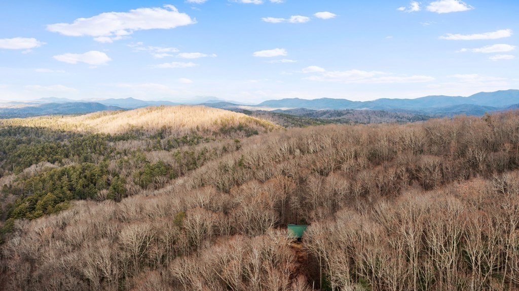 820 Chestnut Mountain Road Reliance, TN 37369 - Photo 42 of 44 Gallery Image 42