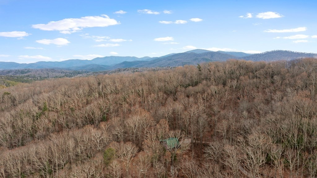 820 Chestnut Mountain Road Reliance, TN 37369 - Photo 43 of 44 Gallery Image 43