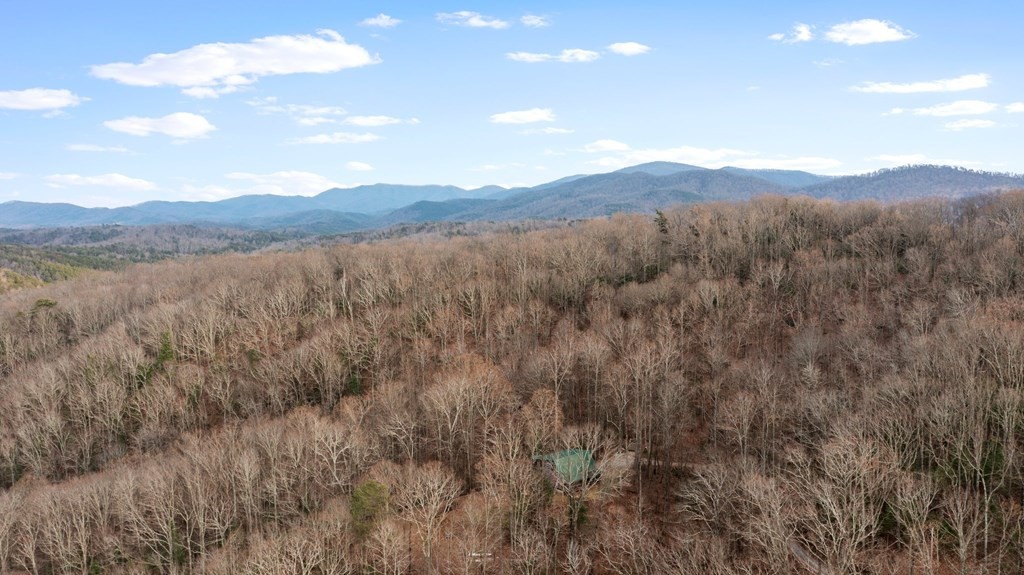 820 Chestnut Mountain Road Reliance, TN 37369 - Photo 44 of 44 Gallery Image 44