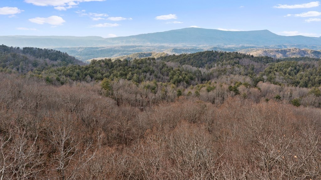 820 Chestnut Mountain Road Reliance, TN 37369 - Photo 7 of 44 Gallery Image 7