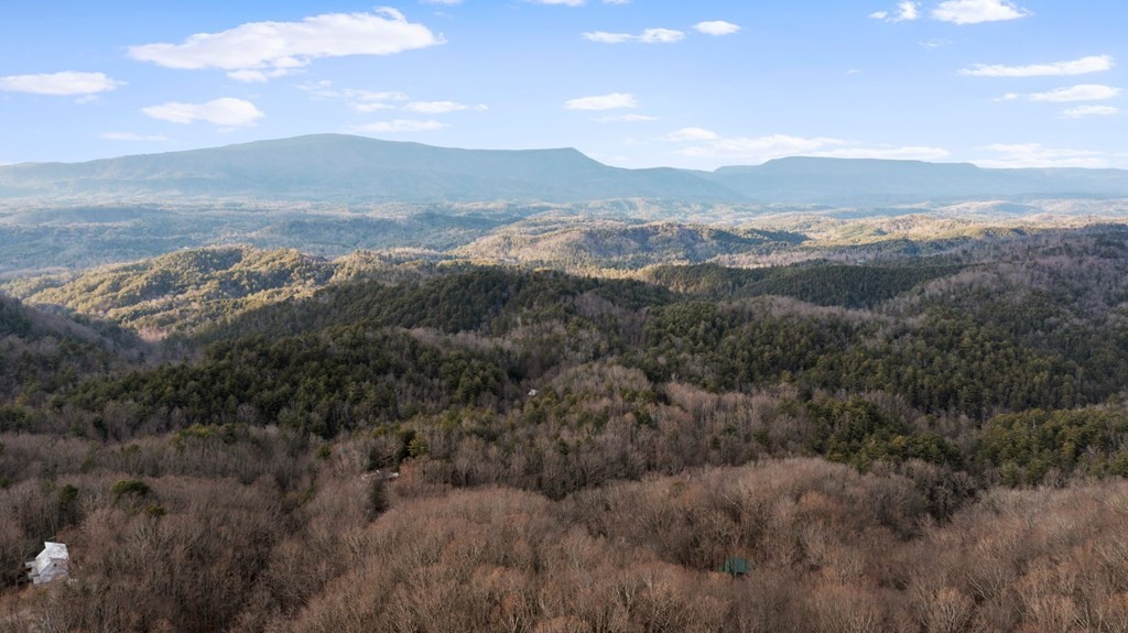 820 Chestnut Mountain Road Reliance, TN 37369 - Photo 9 of 44 Gallery Image 9