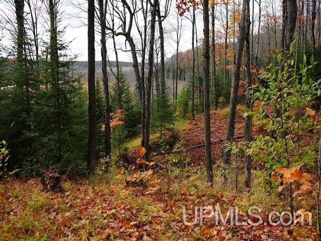 5800 Wolf Lake Road Watersmeet, MI 49969 - Photo 59 of 86
