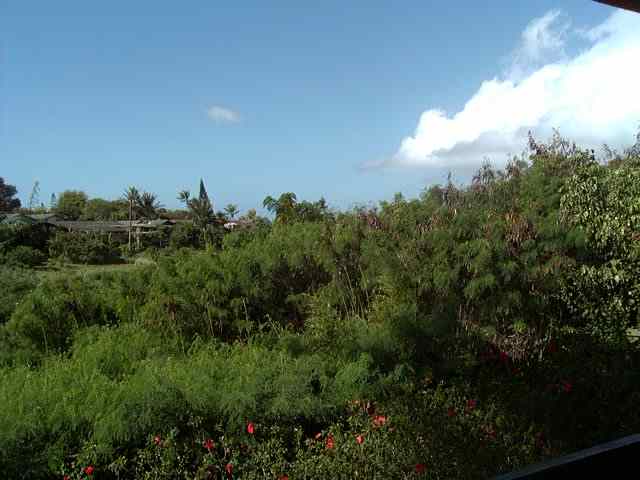 120 Hui F Road, Unit D14 Lahaina, HI 96761 - Photo 4 of 10 Gallery Image 4
