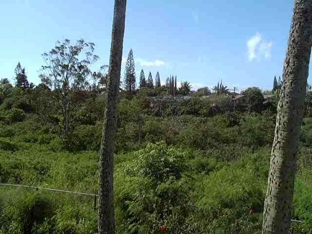 120 Hui F Road, Unit D14 Lahaina, HI 96761 - Photo 10 of 10 Gallery Image 10