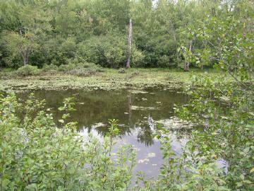 6543 Flowing Well Road Evart, MI 49631 - Photo 6 of 7 Additional Photo