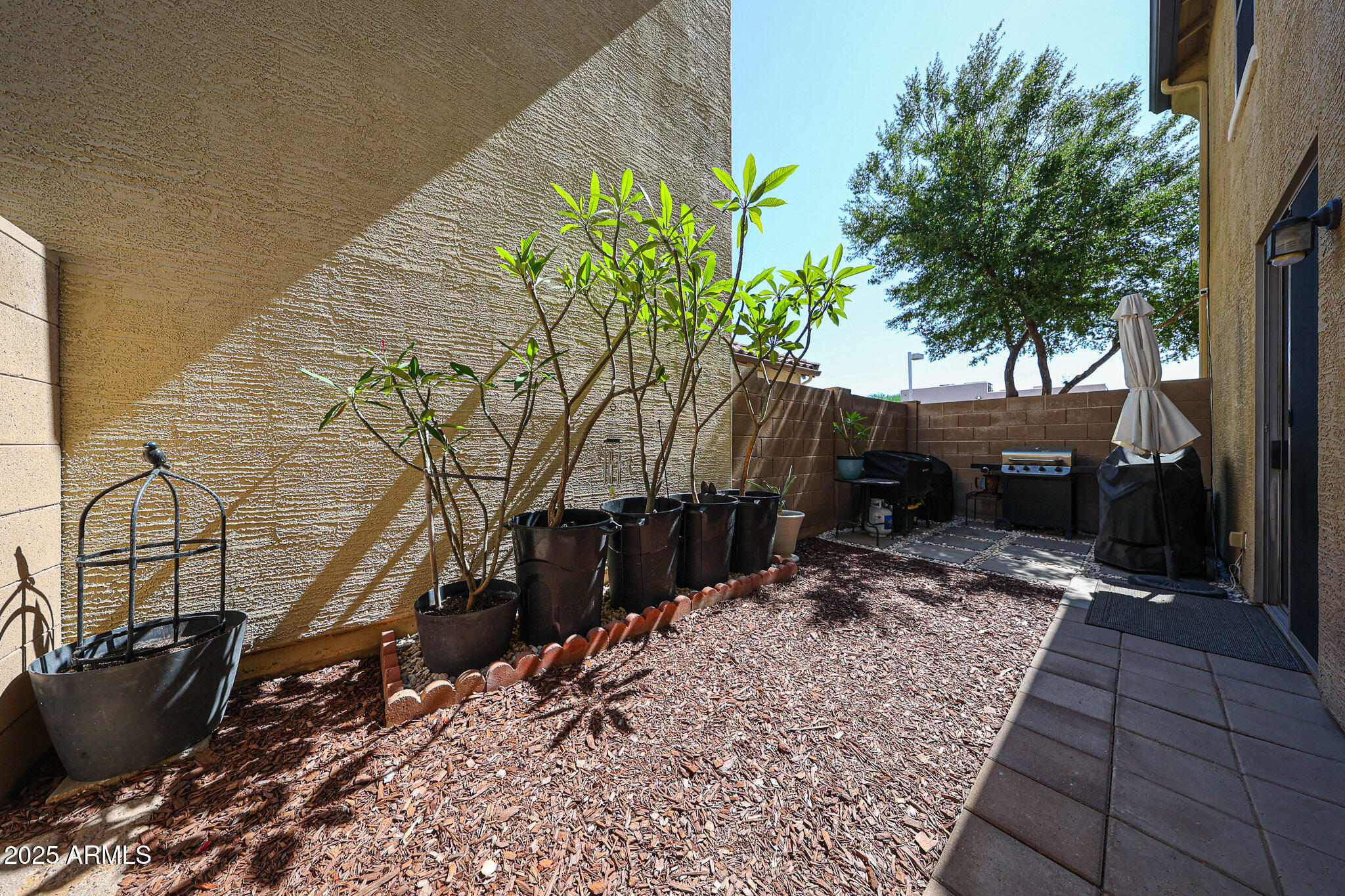 451 South Hawes Road, Unit 53 Mesa, AZ 85208 - Photo 31 of 37 a view of a backyard with plants