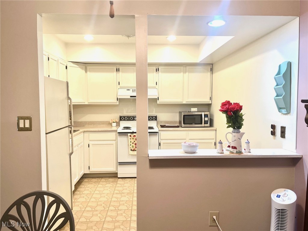 22948 Mastick Road, Unit 202 Cleveland, OH 44126 - Photo 11 of 34 Gallery Image 11