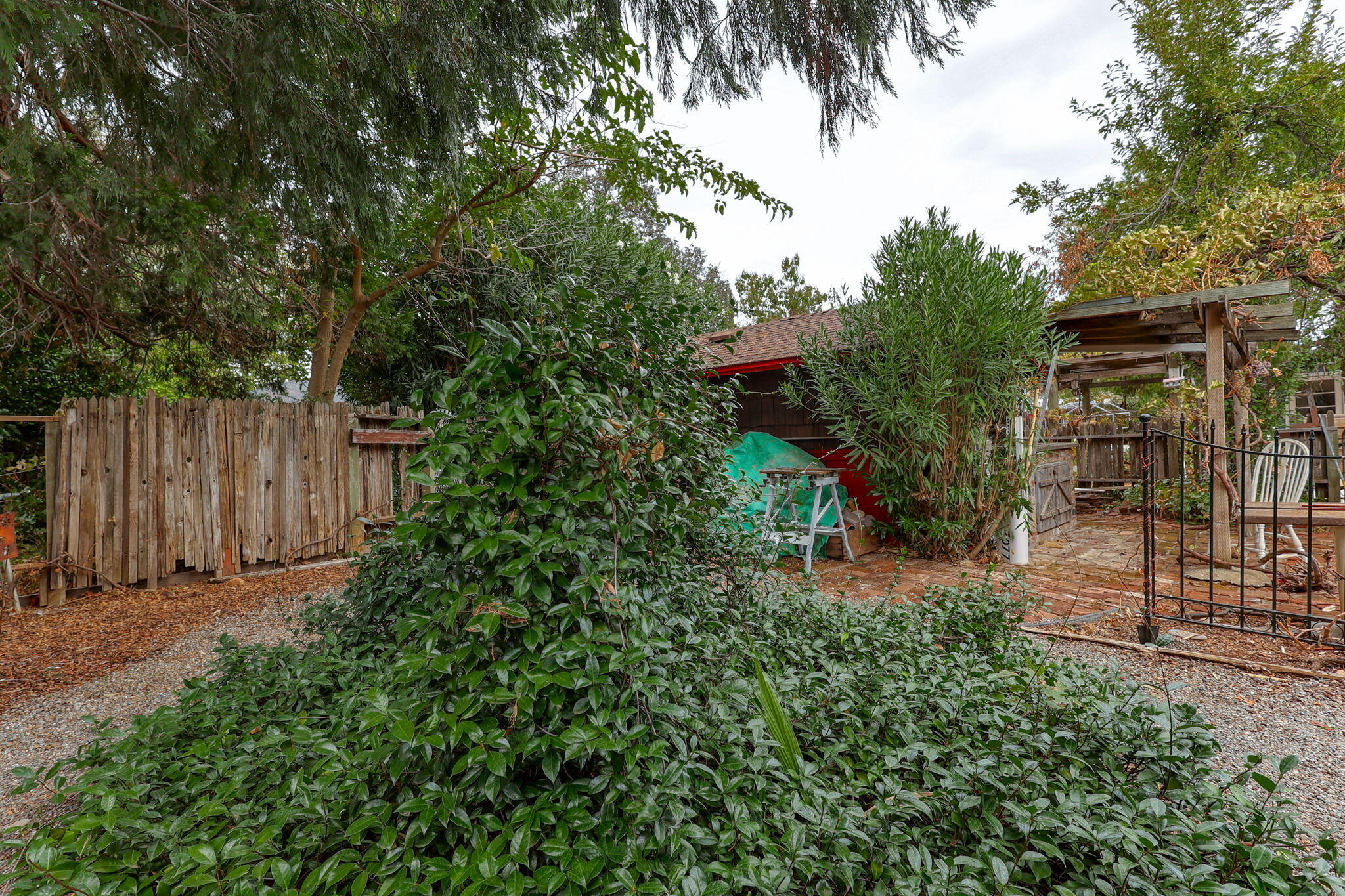 7077 Riata Drive Redding, CA 96002 - Photo 81 of 81 74-web-or-mls-IMG_0564