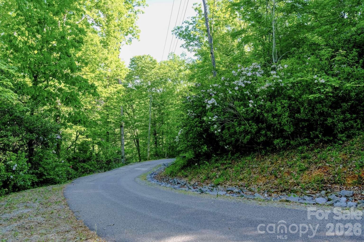 3815 Bat Cave Road Old Fort, NC 28762 - Photo 37 of 45