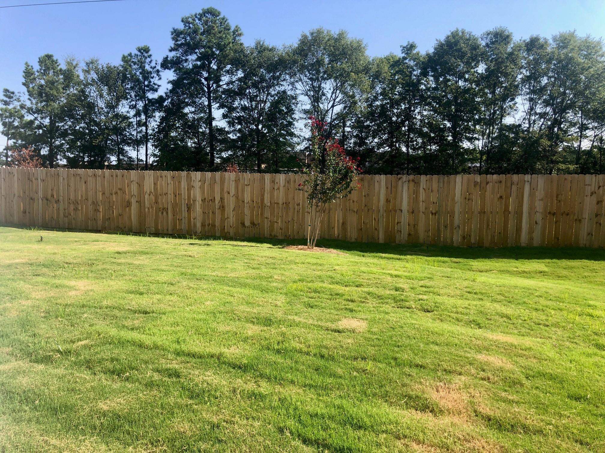 125 Fennec Drive Fountain Inn, SC 29644 - Photo 21 of 22