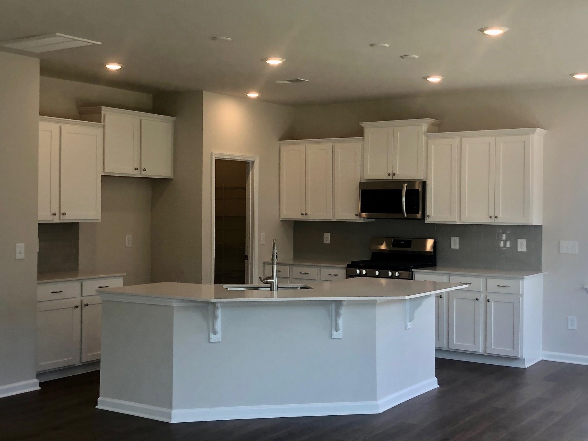 125 Fennec Drive Fountain Inn, SC 29644 - Photo 5 of 22