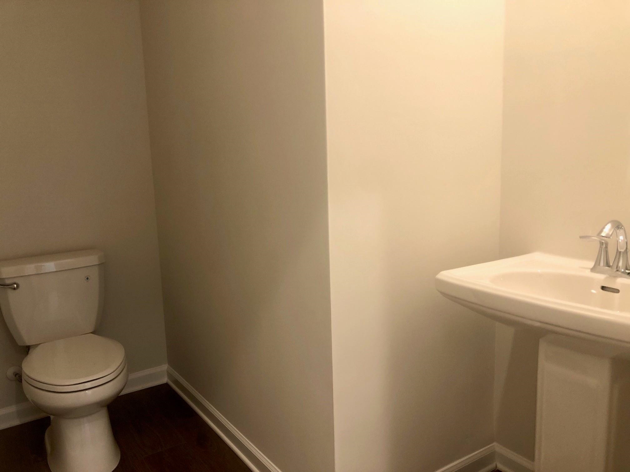 125 Fennec Drive Fountain Inn, SC 29644 - Photo 9 of 22