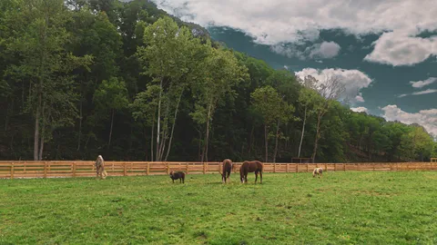 $2,000,000 | 1010 Bison Ridge, Joelton, TN 37080