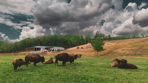 $2,000,000 | 1010 Bison Ridge, Joelton, TN 37080