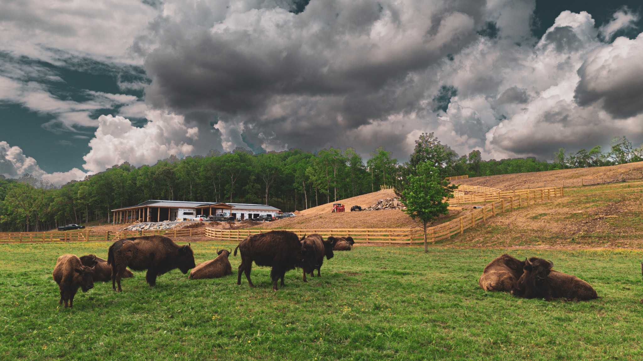 1010 Bison Ridge Joelton, TN 37080 - Photo 47 of 50