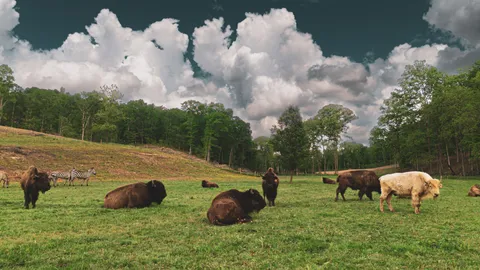 $2,000,000 | 1010 Bison Ridge, Joelton, TN 37080