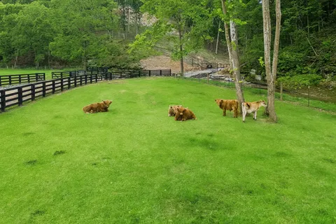 $2,000,000 | 1010 Bison Ridge, Joelton, TN 37080