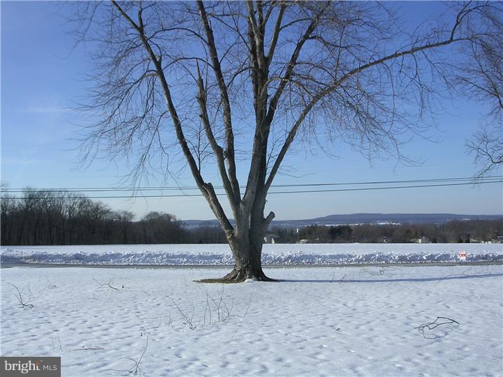 1925 Rickert Road Perkasie, PA 18944 - Photo 15 of 17 View from Front Door