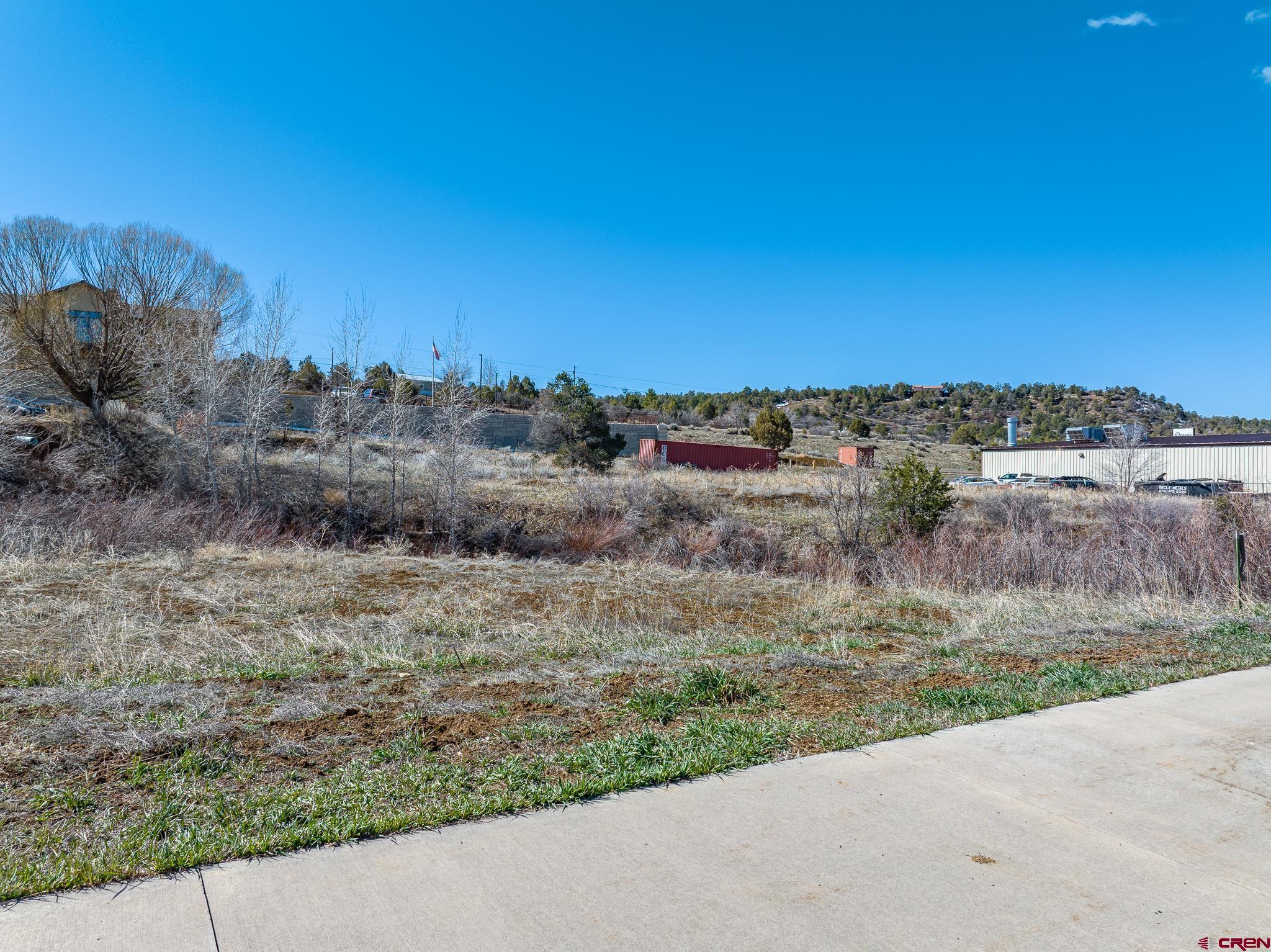 312 Davidson Creek Road Durango, CO 81301 - Photo 8 of 25