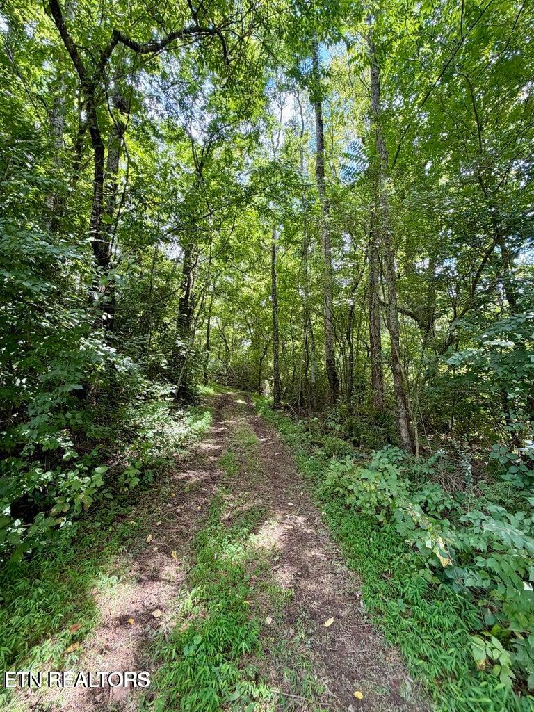 119 Springhouse Road Powell, TN 37849 - Photo 49 of 54 20260716130522379510000000-o