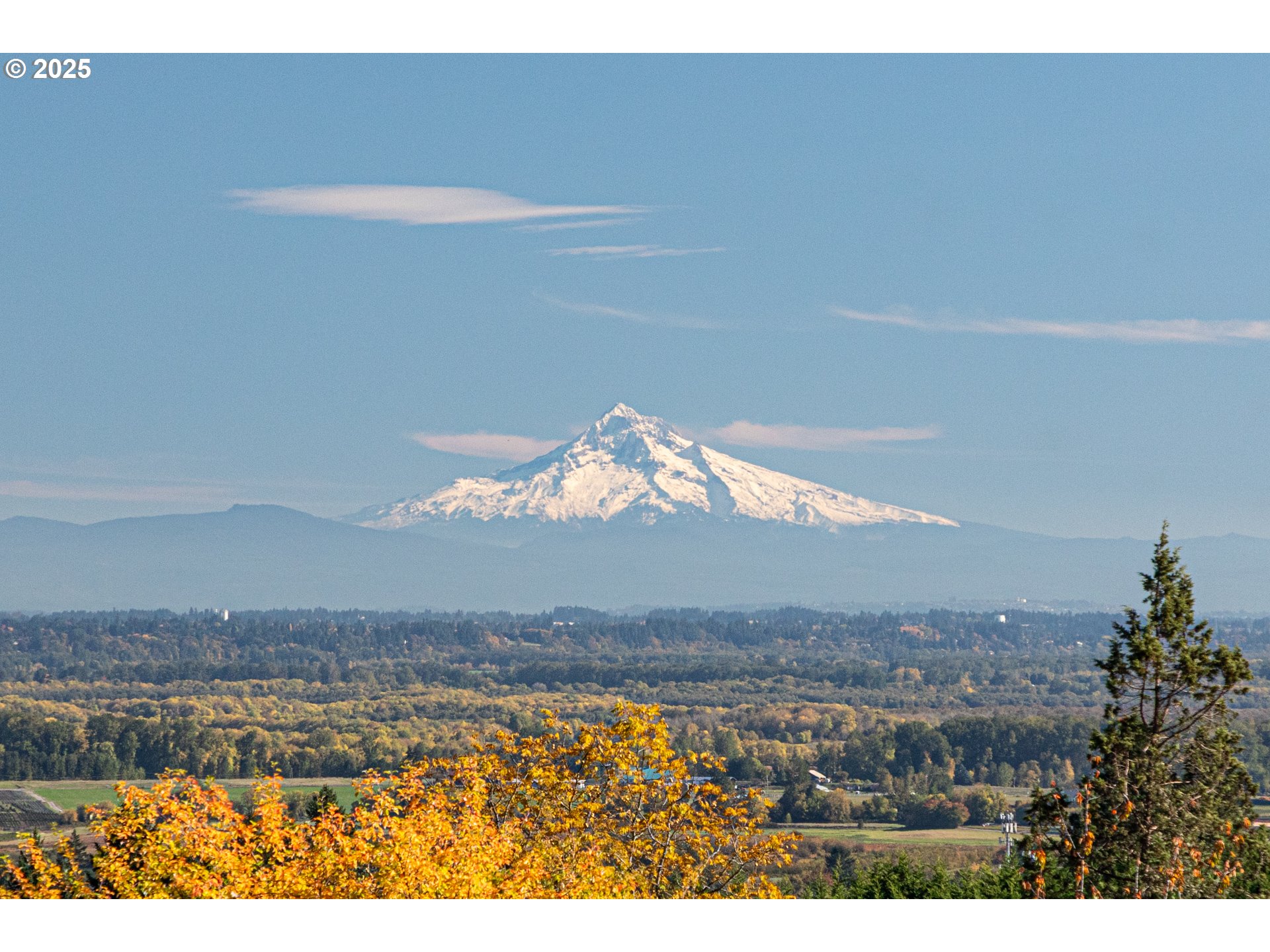 32378 Southwest JP W Road Scappoose, OR 97056 - Photo 6 of 9