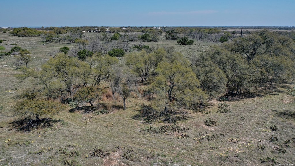 1443 Gina Road Harper, TX 78631 - Photo 44 of 49 an aerial view of forest