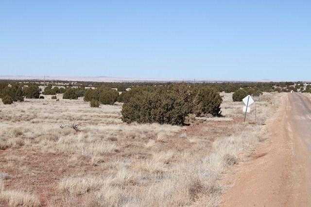 Cnr Road Concho, AZ 85924 - Photo 2 of 6