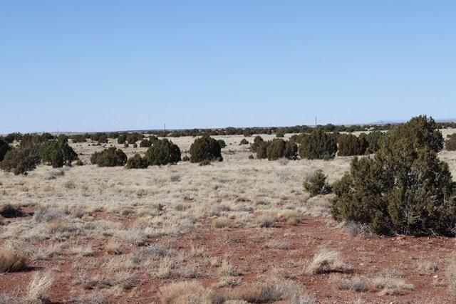 Cnr Road Concho, AZ 85924 - Photo 3 of 6
