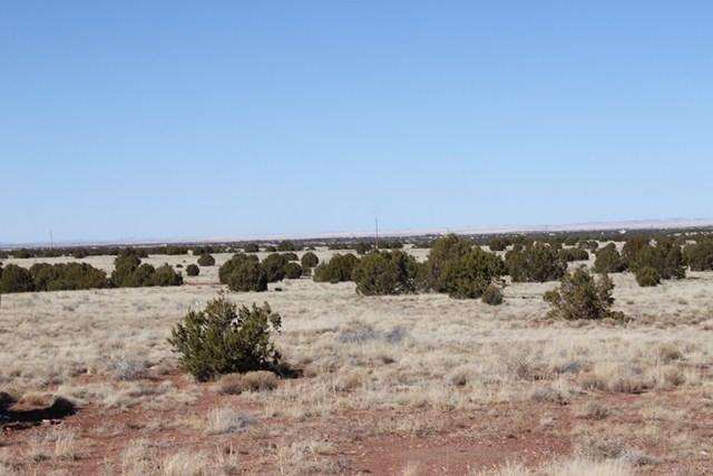 Cnr Road Concho, AZ 85924 - Photo 4 of 6