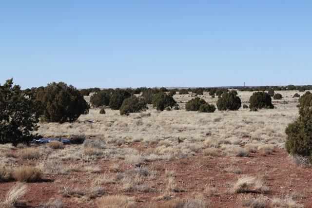 Cnr Road Concho, AZ 85924 - Photo 5 of 6