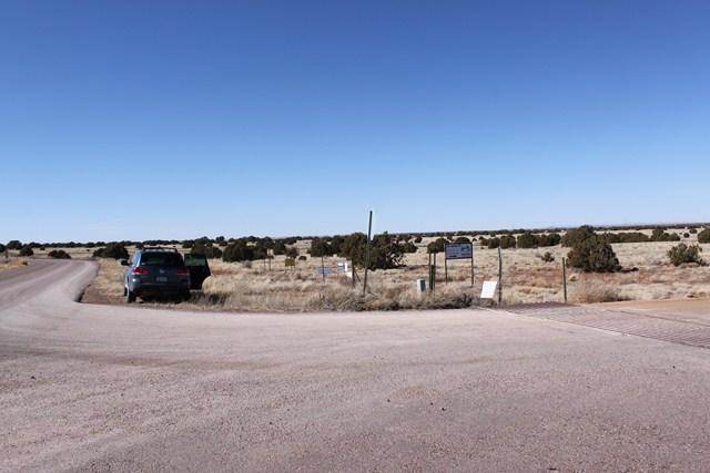 Cnr Road Concho, AZ 85924 - Photo 6 of 6