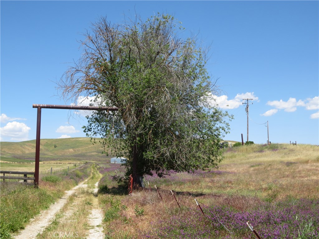 0 Camp 8 Road Paso Robles, CA 93446 - Photo 4 of 9 a view of a yard with a tree