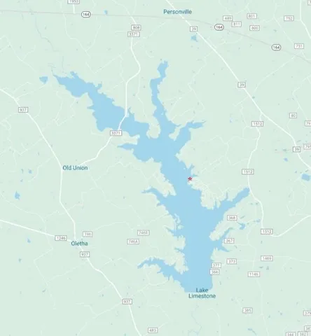 a view of a yard with plants