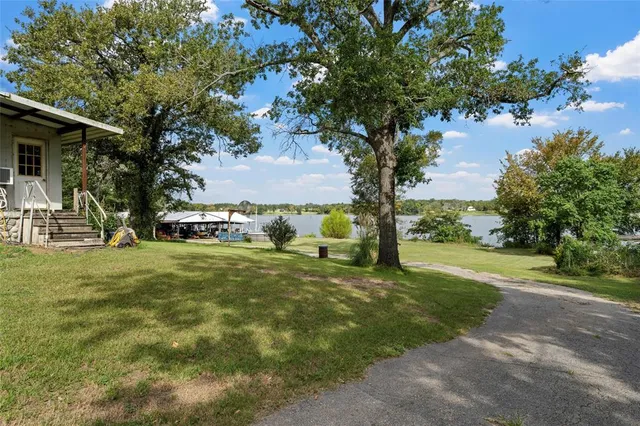 a view of a trees in front of a house with a large tree