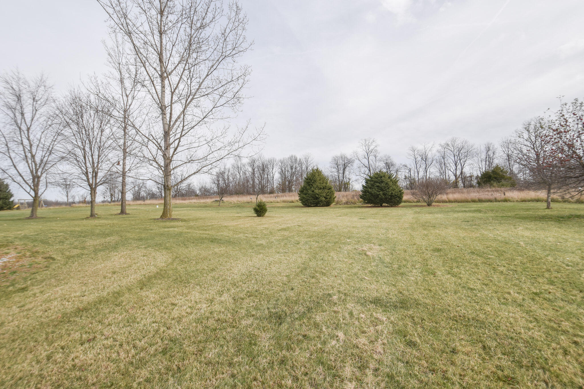 711 Clarendon Road Quincy, MI 49082 - Photo 3 of 34 DSC_0544