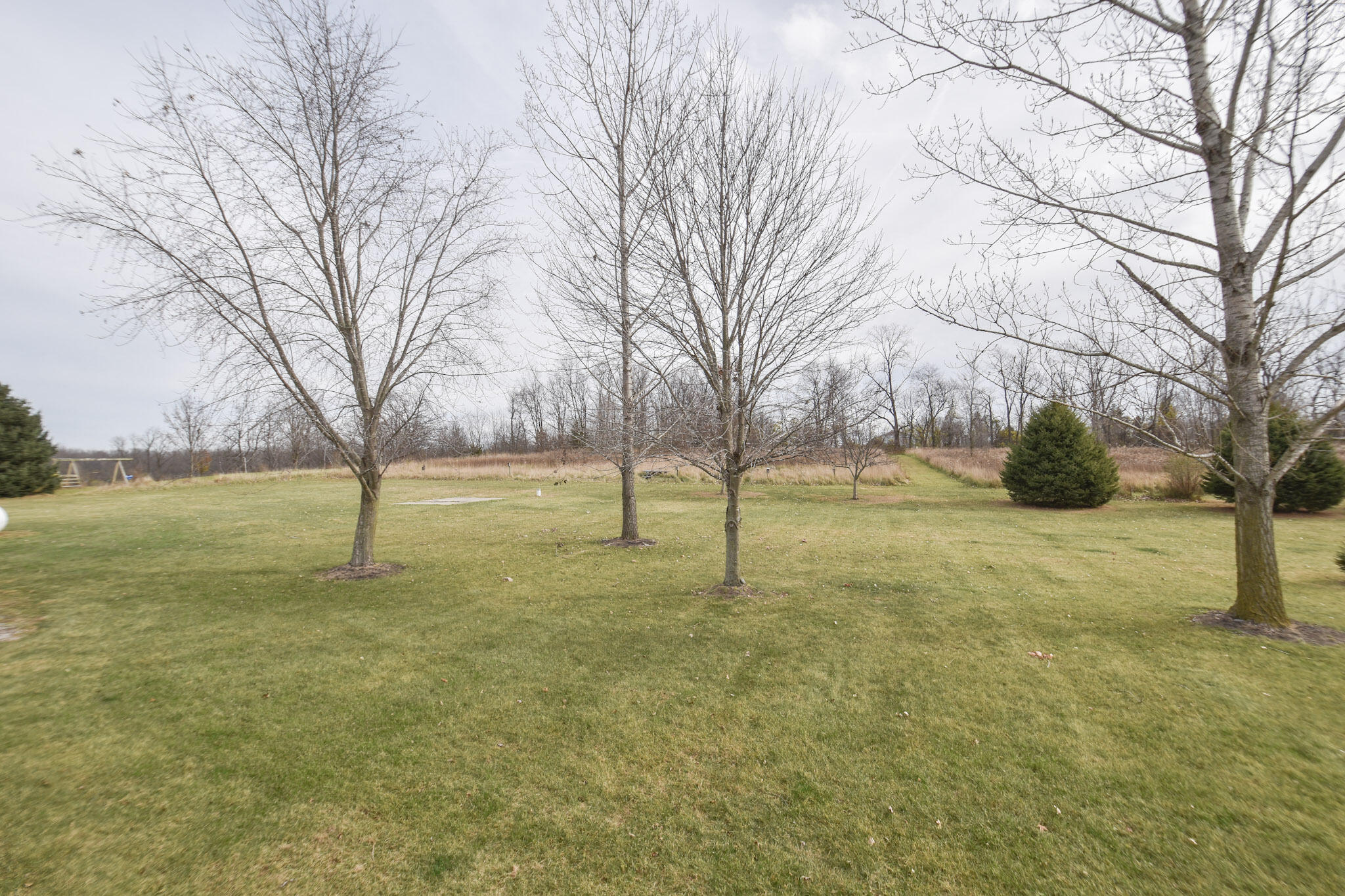 711 Clarendon Road Quincy, MI 49082 - Photo 34 of 34 DSC_0550