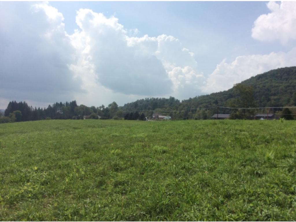 Lot 2 Us Rt 2 Marshfield, VT 05658 - Photo 6 of 17